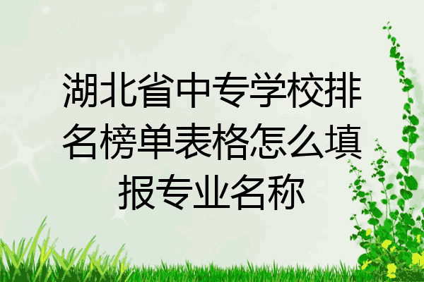 湖北省中专学校排名榜单表格怎么填报专业名称