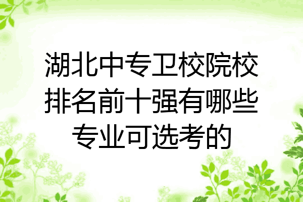 湖北中专卫校院校排名前十强有哪些专业可选考的