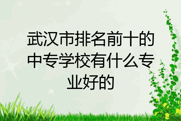 武汉市排名前十的中专学校有什么专业好的