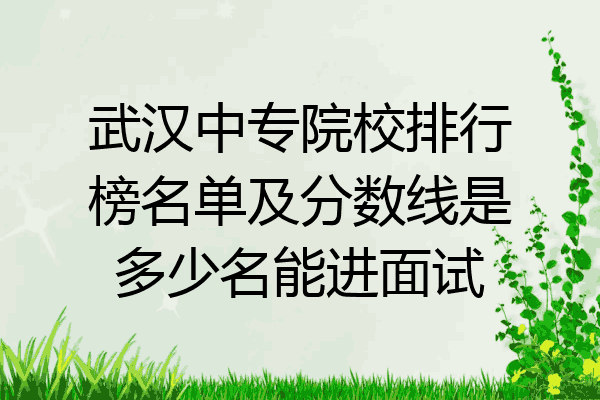 武汉中专院校排行榜名单及分数线是多少名能进面试