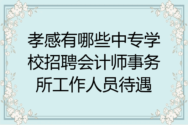 孝感有哪些中专学校招聘会计师事务所工作人员待遇