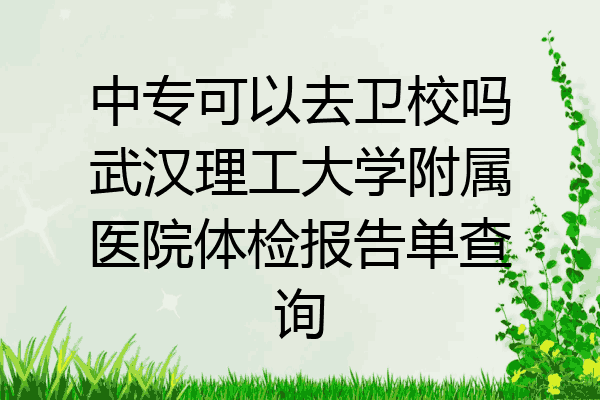 中专可以去卫校吗武汉理工大学附属医院体检报告单查询
