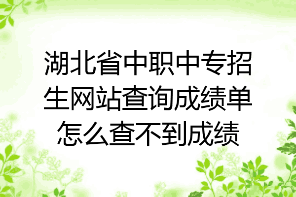 湖北省中职中专招生网站查询成绩单怎么查不到成绩