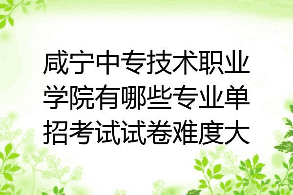 咸宁中专技术职业学院有哪些专业单招考试试卷难度大