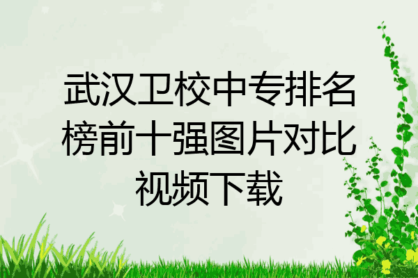 武汉卫校中专排名榜前十强图片对比视频下载