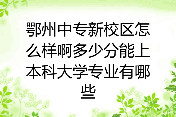 鄂州中专新校区怎么样啊多少分能上本科大学专业有哪些