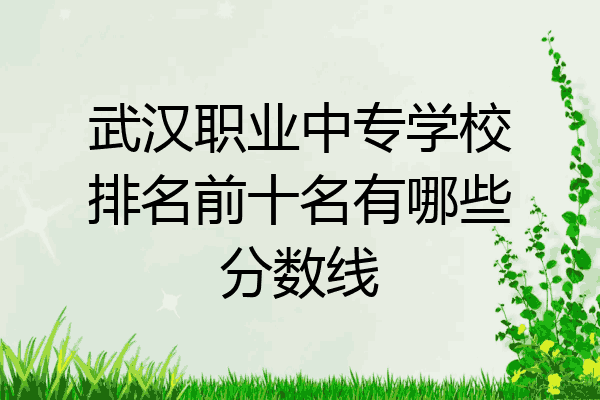 武汉职业中专学校排名前十名有哪些分数线