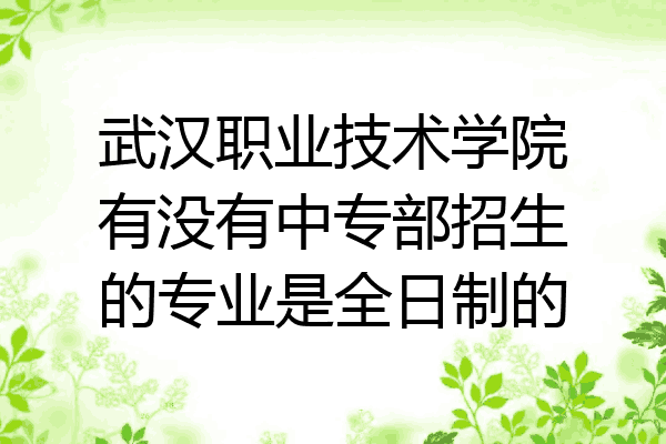 武汉职业技术学院有没有中专部招生的专业是全日制的