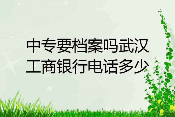 中专要档案吗武汉工商银行电话多少
