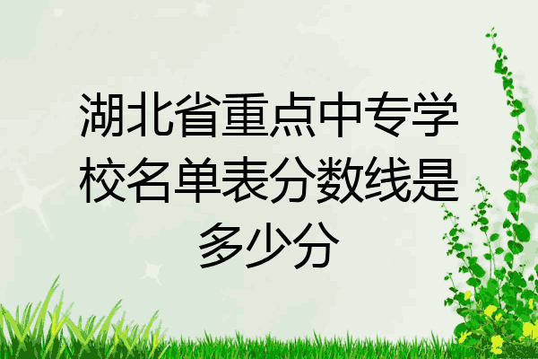湖北省重点中专学校名单表分数线是多少分