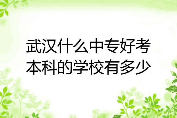 武汉什么中专好考本科的学校有多少