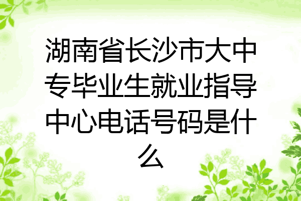 湖南省长沙市大中专毕业生就业指导中心电话号码是什么