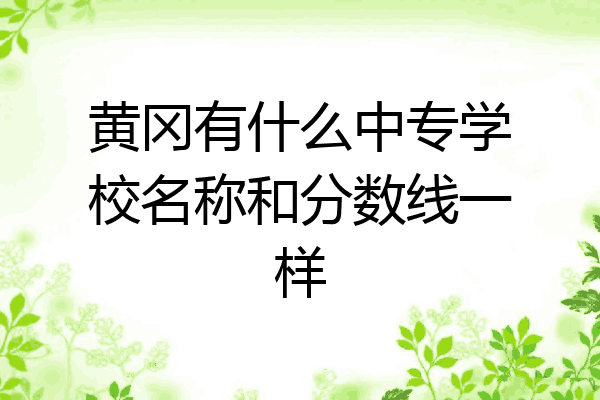 黄冈有什么中专学校名称和分数线一样