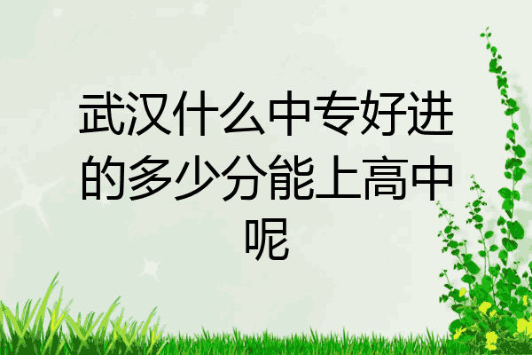 武汉什么中专好进的多少分能上高中呢