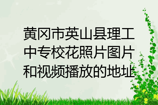 黄冈市英山县理工中专校花照片图片和视频播放的地址