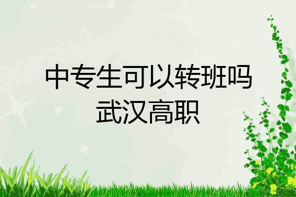 中专生可以转班吗武汉高职