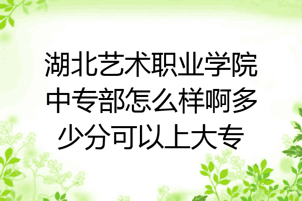 湖北艺术职业学院中专部怎么样啊多少分可以上大专