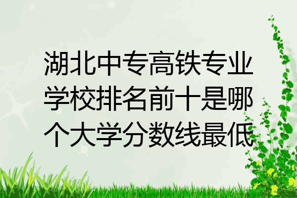 湖北中专高铁专业学校排名前十是哪个大学分数线最低