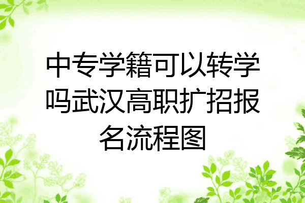 中专学籍可以转学吗武汉高职扩招报名流程图