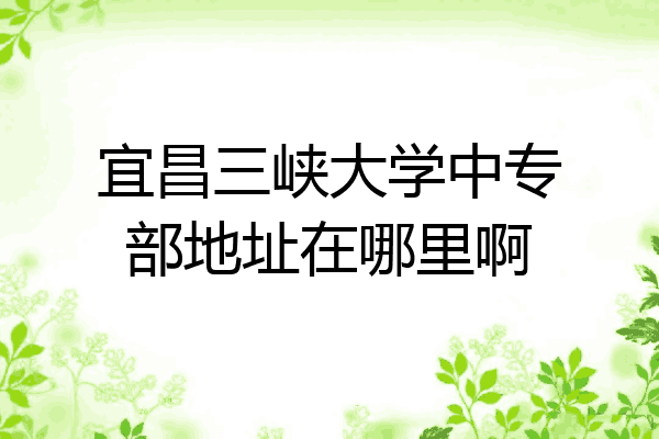 宜昌三峡大学中专部地址在哪里啊