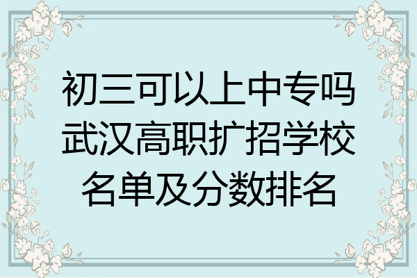 初三可以上中专吗武汉高职扩招学校名单及分数排名