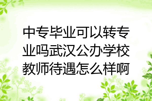 中专毕业可以转专业吗武汉公办学校教师待遇怎么样啊