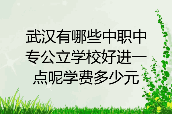 武汉有哪些中职中专公立学校好进一点呢学费多少元