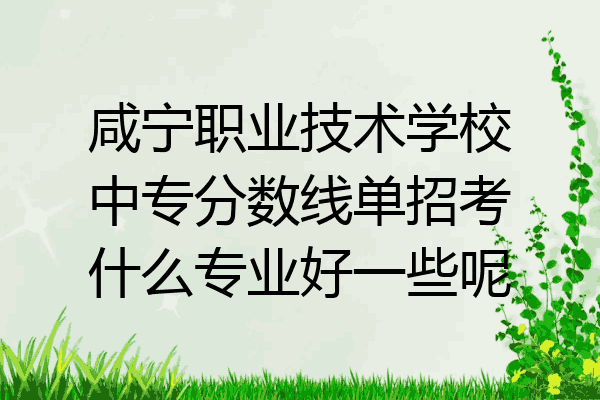 咸宁职业技术学校中专分数线单招考什么专业好一些呢