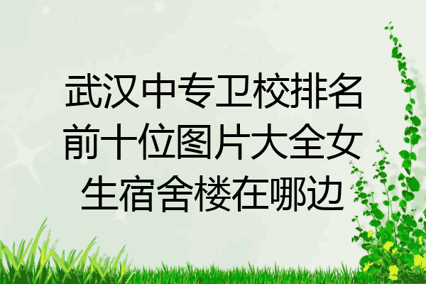 武汉中专卫校排名前十位图片大全女生宿舍楼在哪边