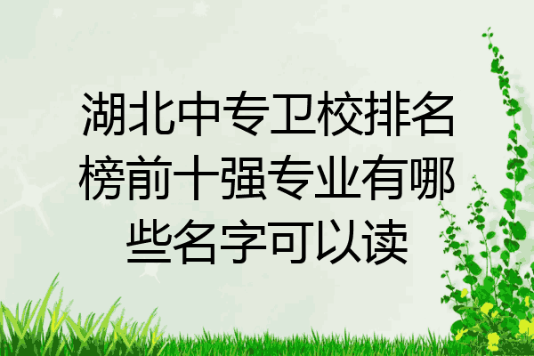 湖北中专卫校排名榜前十强专业有哪些名字可以读