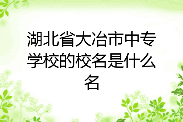 湖北省大冶市中专学校的校名是什么名