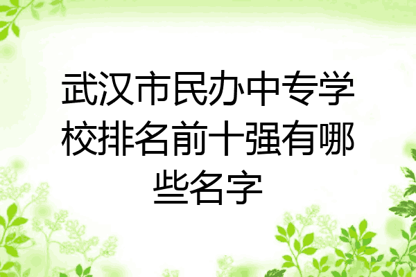 武汉市民办中专学校排名前十强有哪些名字
