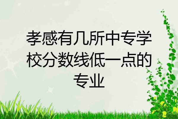孝感有几所中专学校分数线低一点的专业