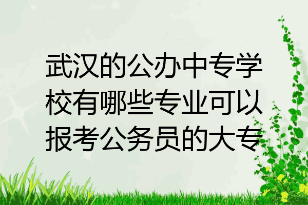 武汉的公办中专学校有哪些专业可以报考公务员的大专