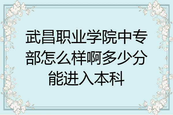 武昌职业学院中专部怎么样啊多少分能进入本科