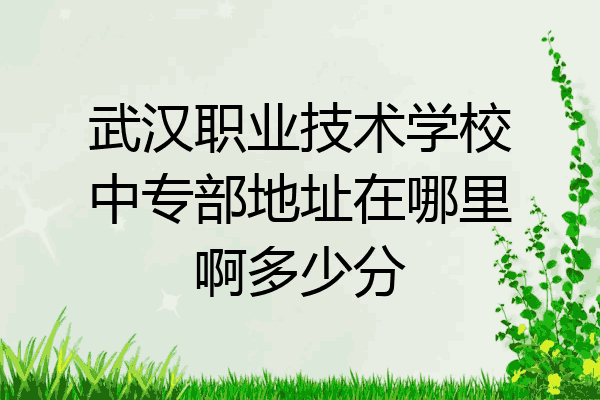 武汉职业技术学校中专部地址在哪里啊多少分
