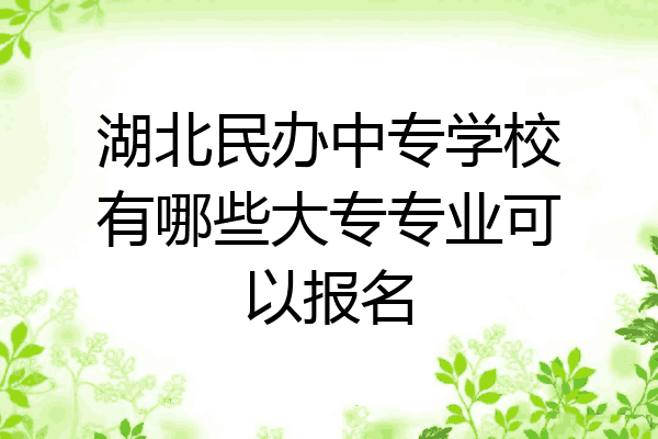 湖北民办中专学校有哪些大专专业可以报名