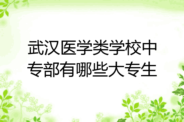武汉医学类学校中专部有哪些大专生