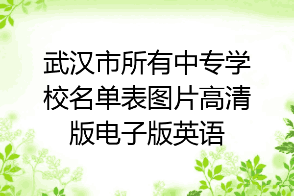 武汉市所有中专学校名单表图片高清版电子版英语