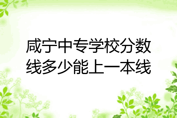 咸宁中专学校分数线多少能上一本线