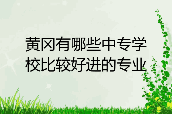 黄冈有哪些中专学校比较好进的专业