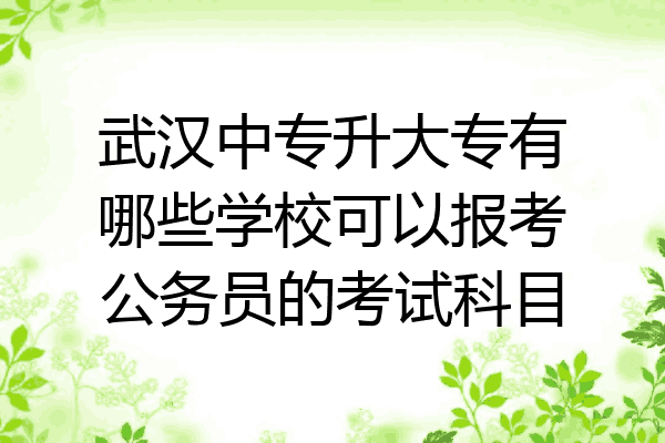 武汉中专升大专有哪些学校可以报考公务员的考试科目