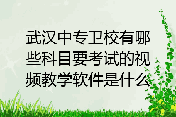 武汉中专卫校有哪些科目要考试的视频教学软件是什么