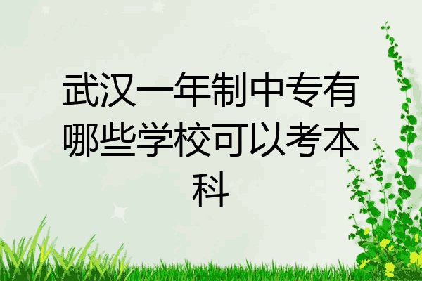 武汉一年制中专有哪些学校可以考本科