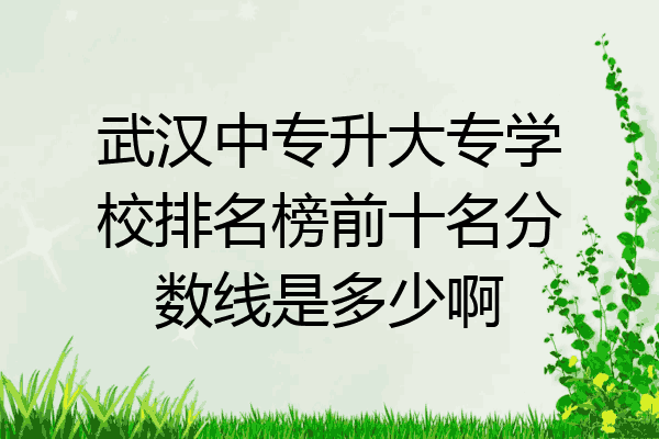 武汉中专升大专学校排名榜前十名分数线是多少啊