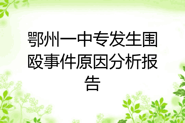 鄂州一中专发生围殴事件原因分析报告