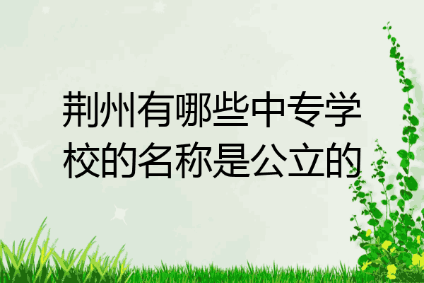 荆州有哪些中专学校的名称是公立的
