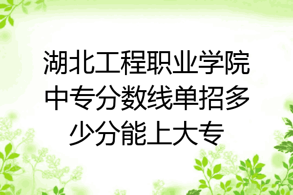 湖北工程职业学院中专分数线单招多少分能上大专