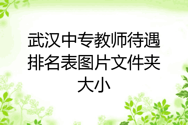 武汉中专教师待遇排名表图片文件夹大小