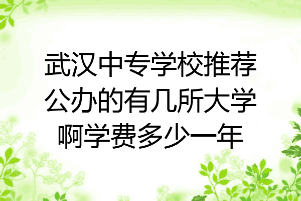 武汉中专学校推荐公办的有几所大学啊学费多少一年